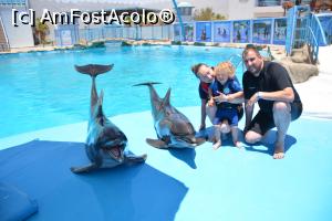 [P20] Copilul speriat, delfinii zambitori » foto by Bubbles91
 - 
<span class="allrVoted glyphicon glyphicon-heart hidden" id="av1234203"></span>
<a class="m-l-10 hidden" id="sv1234203" onclick="voting_Foto_DelVot(,1234203,3529)" role="button">șterge vot <span class="glyphicon glyphicon-remove"></span></a>
<a id="v91234203" class=" c-red"  onclick="voting_Foto_SetVot(1234203)" role="button"><span class="glyphicon glyphicon-heart-empty"></span> <b>LIKE</b> = Votează poza</a> <img class="hidden"  id="f1234203W9" src="/imagini/loader.gif" border="0" /><span class="AjErrMes hidden" id="e1234203ErM"></span>