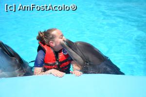 [P21] Vesnicele pozitii de poze cu delfinii » foto by Bubbles91
 - 
<span class="allrVoted glyphicon glyphicon-heart hidden" id="av1234204"></span>
<a class="m-l-10 hidden" id="sv1234204" onclick="voting_Foto_DelVot(,1234204,3529)" role="button">șterge vot <span class="glyphicon glyphicon-remove"></span></a>
<a id="v91234204" class=" c-red"  onclick="voting_Foto_SetVot(1234204)" role="button"><span class="glyphicon glyphicon-heart-empty"></span> <b>LIKE</b> = Votează poza</a> <img class="hidden"  id="f1234204W9" src="/imagini/loader.gif" border="0" /><span class="AjErrMes hidden" id="e1234204ErM"></span>