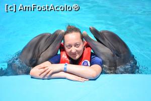 [P22] Au fost 2 delfini, amandoi dansatori si iubareti » foto by Bubbles91
 - 
<span class="allrVoted glyphicon glyphicon-heart hidden" id="av1234205"></span>
<a class="m-l-10 hidden" id="sv1234205" onclick="voting_Foto_DelVot(,1234205,3529)" role="button">șterge vot <span class="glyphicon glyphicon-remove"></span></a>
<a id="v91234205" class=" c-red"  onclick="voting_Foto_SetVot(1234205)" role="button"><span class="glyphicon glyphicon-heart-empty"></span> <b>LIKE</b> = Votează poza</a> <img class="hidden"  id="f1234205W9" src="/imagini/loader.gif" border="0" /><span class="AjErrMes hidden" id="e1234205ErM"></span>