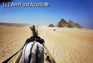 [P07] Plimbare cu caruta la piramide » foto by Bubbles91
 - 
<span class="allrVoted glyphicon glyphicon-heart hidden" id="av1234190"></span>
<a class="m-l-10 hidden" id="sv1234190" onclick="voting_Foto_DelVot(,1234190,3529)" role="button">șterge vot <span class="glyphicon glyphicon-remove"></span></a>
<a id="v91234190" class=" c-red"  onclick="voting_Foto_SetVot(1234190)" role="button"><span class="glyphicon glyphicon-heart-empty"></span> <b>LIKE</b> = Votează poza</a> <img class="hidden"  id="f1234190W9" src="/imagini/loader.gif" border="0" /><span class="AjErrMes hidden" id="e1234190ErM"></span>