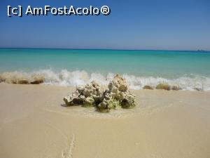 [P10] Pe insula Giftun » foto by lianacioban
 - 
<span class="allrVoted glyphicon glyphicon-heart hidden" id="av1081701"></span>
<a class="m-l-10 hidden" id="sv1081701" onclick="voting_Foto_DelVot(,1081701,3529)" role="button">șterge vot <span class="glyphicon glyphicon-remove"></span></a>
<a id="v91081701" class=" c-red"  onclick="voting_Foto_SetVot(1081701)" role="button"><span class="glyphicon glyphicon-heart-empty"></span> <b>LIKE</b> = Votează poza</a> <img class="hidden"  id="f1081701W9" src="/imagini/loader.gif" border="0" /><span class="AjErrMes hidden" id="e1081701ErM"></span>