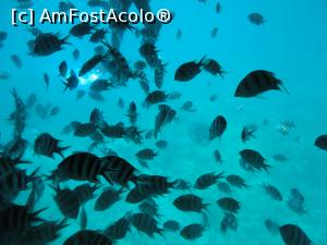 [P06] pesti prin hublou » foto by lianacioban
 - 
<span class="allrVoted glyphicon glyphicon-heart hidden" id="av1081697"></span>
<a class="m-l-10 hidden" id="sv1081697" onclick="voting_Foto_DelVot(,1081697,3529)" role="button">șterge vot <span class="glyphicon glyphicon-remove"></span></a>
<a id="v91081697" class=" c-red"  onclick="voting_Foto_SetVot(1081697)" role="button"><span class="glyphicon glyphicon-heart-empty"></span> <b>LIKE</b> = Votează poza</a> <img class="hidden"  id="f1081697W9" src="/imagini/loader.gif" border="0" /><span class="AjErrMes hidden" id="e1081697ErM"></span>