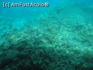 [P07] prin hubloul vasului » foto by lianacioban
 - 
<span class="allrVoted glyphicon glyphicon-heart hidden" id="av1081698"></span>
<a class="m-l-10 hidden" id="sv1081698" onclick="voting_Foto_DelVot(,1081698,3529)" role="button">șterge vot <span class="glyphicon glyphicon-remove"></span></a>
<a id="v91081698" class=" c-red"  onclick="voting_Foto_SetVot(1081698)" role="button"><span class="glyphicon glyphicon-heart-empty"></span> <b>LIKE</b> = Votează poza</a> <img class="hidden"  id="f1081698W9" src="/imagini/loader.gif" border="0" /><span class="AjErrMes hidden" id="e1081698ErM"></span>