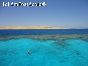 [P09]  -- <small>// FĂRĂ DESCRIERE</small> » foto by lianacioban
 - 
<span class="allrVoted glyphicon glyphicon-heart hidden" id="av1081700"></span>
<a class="m-l-10 hidden" id="sv1081700" onclick="voting_Foto_DelVot(,1081700,3529)" role="button">șterge vot <span class="glyphicon glyphicon-remove"></span></a>
<a id="v91081700" class=" c-red"  onclick="voting_Foto_SetVot(1081700)" role="button"><span class="glyphicon glyphicon-heart-empty"></span> <b>LIKE</b> = Votează poza</a> <img class="hidden"  id="f1081700W9" src="/imagini/loader.gif" border="0" /><span class="AjErrMes hidden" id="e1081700ErM"></span>