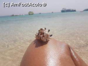 [P14]  -- <small>// FĂRĂ DESCRIERE</small> » foto by Florenta90
 - 
<span class="allrVoted glyphicon glyphicon-heart hidden" id="av969923"></span>
<a class="m-l-10 hidden" id="sv969923" onclick="voting_Foto_DelVot(,969923,3529)" role="button">șterge vot <span class="glyphicon glyphicon-remove"></span></a>
<a id="v9969923" class=" c-red"  onclick="voting_Foto_SetVot(969923)" role="button"><span class="glyphicon glyphicon-heart-empty"></span> <b>LIKE</b> = Votează poza</a> <img class="hidden"  id="f969923W9" src="/imagini/loader.gif" border="0" /><span class="AjErrMes hidden" id="e969923ErM"></span>