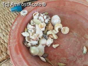 [P17]  -- <small>// FĂRĂ DESCRIERE</small> » foto by Florenta90
 - 
<span class="allrVoted glyphicon glyphicon-heart hidden" id="av969926"></span>
<a class="m-l-10 hidden" id="sv969926" onclick="voting_Foto_DelVot(,969926,3529)" role="button">șterge vot <span class="glyphicon glyphicon-remove"></span></a>
<a id="v9969926" class=" c-red"  onclick="voting_Foto_SetVot(969926)" role="button"><span class="glyphicon glyphicon-heart-empty"></span> <b>LIKE</b> = Votează poza</a> <img class="hidden"  id="f969926W9" src="/imagini/loader.gif" border="0" /><span class="AjErrMes hidden" id="e969926ErM"></span>