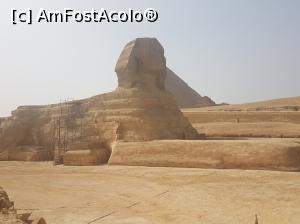 [P22]  -- <small>// FĂRĂ DESCRIERE</small> » foto by Florenta90
 - 
<span class="allrVoted glyphicon glyphicon-heart hidden" id="av969931"></span>
<a class="m-l-10 hidden" id="sv969931" onclick="voting_Foto_DelVot(,969931,3529)" role="button">șterge vot <span class="glyphicon glyphicon-remove"></span></a>
<a id="v9969931" class=" c-red"  onclick="voting_Foto_SetVot(969931)" role="button"><span class="glyphicon glyphicon-heart-empty"></span> <b>LIKE</b> = Votează poza</a> <img class="hidden"  id="f969931W9" src="/imagini/loader.gif" border="0" /><span class="AjErrMes hidden" id="e969931ErM"></span>