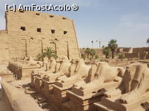 [P05] TEMPLUL KARNAK » foto by Florenta90
 - 
<span class="allrVoted glyphicon glyphicon-heart hidden" id="av969914"></span>
<a class="m-l-10 hidden" id="sv969914" onclick="voting_Foto_DelVot(,969914,3529)" role="button">șterge vot <span class="glyphicon glyphicon-remove"></span></a>
<a id="v9969914" class=" c-red"  onclick="voting_Foto_SetVot(969914)" role="button"><span class="glyphicon glyphicon-heart-empty"></span> <b>LIKE</b> = Votează poza</a> <img class="hidden"  id="f969914W9" src="/imagini/loader.gif" border="0" /><span class="AjErrMes hidden" id="e969914ErM"></span>