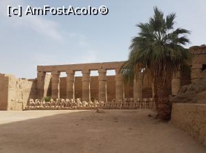 [P06] T. Karnak » foto by Florenta90
 - 
<span class="allrVoted glyphicon glyphicon-heart hidden" id="av969915"></span>
<a class="m-l-10 hidden" id="sv969915" onclick="voting_Foto_DelVot(,969915,3529)" role="button">șterge vot <span class="glyphicon glyphicon-remove"></span></a>
<a id="v9969915" class=" c-red"  onclick="voting_Foto_SetVot(969915)" role="button"><span class="glyphicon glyphicon-heart-empty"></span> <b>LIKE</b> = Votează poza</a> <img class="hidden"  id="f969915W9" src="/imagini/loader.gif" border="0" /><span class="AjErrMes hidden" id="e969915ErM"></span>