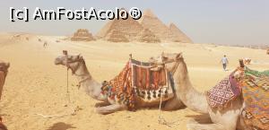 [P30] Cairo, piramide » foto by florentina02
 - 
<span class="allrVoted glyphicon glyphicon-heart hidden" id="av1298317"></span>
<a class="m-l-10 hidden" id="sv1298317" onclick="voting_Foto_DelVot(,1298317,3529)" role="button">șterge vot <span class="glyphicon glyphicon-remove"></span></a>
<a id="v91298317" class=" c-red"  onclick="voting_Foto_SetVot(1298317)" role="button"><span class="glyphicon glyphicon-heart-empty"></span> <b>LIKE</b> = Votează poza</a> <img class="hidden"  id="f1298317W9" src="/imagini/loader.gif" border="0" /><span class="AjErrMes hidden" id="e1298317ErM"></span>