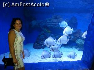 [P10]  -- <small>// FĂRĂ DESCRIERE</small> » foto by Aliona R
 - 
<span class="allrVoted glyphicon glyphicon-heart hidden" id="av1032695"></span>
<a class="m-l-10 hidden" id="sv1032695" onclick="voting_Foto_DelVot(,1032695,3529)" role="button">șterge vot <span class="glyphicon glyphicon-remove"></span></a>
<a id="v91032695" class=" c-red"  onclick="voting_Foto_SetVot(1032695)" role="button"><span class="glyphicon glyphicon-heart-empty"></span> <b>LIKE</b> = Votează poza</a> <img class="hidden"  id="f1032695W9" src="/imagini/loader.gif" border="0" /><span class="AjErrMes hidden" id="e1032695ErM"></span>