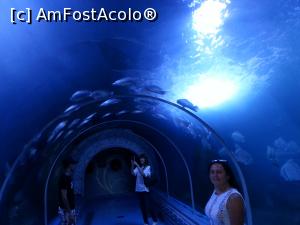 [P11]  -- <small>// FĂRĂ DESCRIERE</small> » foto by Aliona R
 - 
<span class="allrVoted glyphicon glyphicon-heart hidden" id="av1032696"></span>
<a class="m-l-10 hidden" id="sv1032696" onclick="voting_Foto_DelVot(,1032696,3529)" role="button">șterge vot <span class="glyphicon glyphicon-remove"></span></a>
<a id="v91032696" class=" c-red"  onclick="voting_Foto_SetVot(1032696)" role="button"><span class="glyphicon glyphicon-heart-empty"></span> <b>LIKE</b> = Votează poza</a> <img class="hidden"  id="f1032696W9" src="/imagini/loader.gif" border="0" /><span class="AjErrMes hidden" id="e1032696ErM"></span>