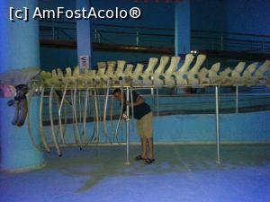 [P12]  -- <small>// FĂRĂ DESCRIERE</small> » foto by Aliona R
 - 
<span class="allrVoted glyphicon glyphicon-heart hidden" id="av1032697"></span>
<a class="m-l-10 hidden" id="sv1032697" onclick="voting_Foto_DelVot(,1032697,3529)" role="button">șterge vot <span class="glyphicon glyphicon-remove"></span></a>
<a id="v91032697" class=" c-red"  onclick="voting_Foto_SetVot(1032697)" role="button"><span class="glyphicon glyphicon-heart-empty"></span> <b>LIKE</b> = Votează poza</a> <img class="hidden"  id="f1032697W9" src="/imagini/loader.gif" border="0" /><span class="AjErrMes hidden" id="e1032697ErM"></span>