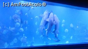 [P13]  -- <small>// FĂRĂ DESCRIERE</small> » foto by Aliona R
 - 
<span class="allrVoted glyphicon glyphicon-heart hidden" id="av1032698"></span>
<a class="m-l-10 hidden" id="sv1032698" onclick="voting_Foto_DelVot(,1032698,3529)" role="button">șterge vot <span class="glyphicon glyphicon-remove"></span></a>
<a id="v91032698" class=" c-red"  onclick="voting_Foto_SetVot(1032698)" role="button"><span class="glyphicon glyphicon-heart-empty"></span> <b>LIKE</b> = Votează poza</a> <img class="hidden"  id="f1032698W9" src="/imagini/loader.gif" border="0" /><span class="AjErrMes hidden" id="e1032698ErM"></span>