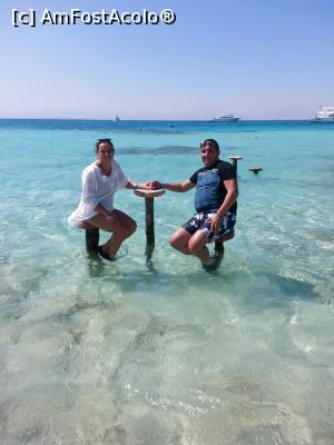 [P16]  -- <small>// FĂRĂ DESCRIERE</small> » foto by Aliona R
 - 
<span class="allrVoted glyphicon glyphicon-heart hidden" id="av1032701"></span>
<a class="m-l-10 hidden" id="sv1032701" onclick="voting_Foto_DelVot(,1032701,3529)" role="button">șterge vot <span class="glyphicon glyphicon-remove"></span></a>
<a id="v91032701" class=" c-red"  onclick="voting_Foto_SetVot(1032701)" role="button"><span class="glyphicon glyphicon-heart-empty"></span> <b>LIKE</b> = Votează poza</a> <img class="hidden"  id="f1032701W9" src="/imagini/loader.gif" border="0" /><span class="AjErrMes hidden" id="e1032701ErM"></span>