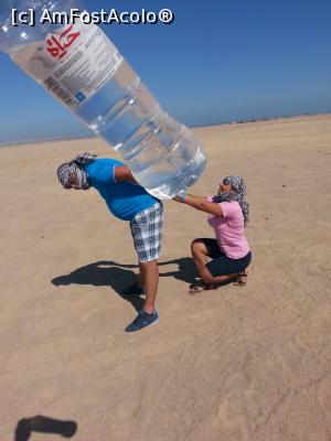 [P25]  -- <small>// FĂRĂ DESCRIERE</small> » foto by Aliona R
 - 
<span class="allrVoted glyphicon glyphicon-heart hidden" id="av1032710"></span>
<a class="m-l-10 hidden" id="sv1032710" onclick="voting_Foto_DelVot(,1032710,3529)" role="button">șterge vot <span class="glyphicon glyphicon-remove"></span></a>
<a id="v91032710" class=" c-red"  onclick="voting_Foto_SetVot(1032710)" role="button"><span class="glyphicon glyphicon-heart-empty"></span> <b>LIKE</b> = Votează poza</a> <img class="hidden"  id="f1032710W9" src="/imagini/loader.gif" border="0" /><span class="AjErrMes hidden" id="e1032710ErM"></span>