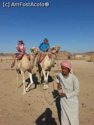 [P29]  -- <small>// FĂRĂ DESCRIERE</small> » foto by Aliona R
 - 
<span class="allrVoted glyphicon glyphicon-heart hidden" id="av1032714"></span>
<a class="m-l-10 hidden" id="sv1032714" onclick="voting_Foto_DelVot(,1032714,3529)" role="button">șterge vot <span class="glyphicon glyphicon-remove"></span></a>
<a id="v91032714" class=" c-red"  onclick="voting_Foto_SetVot(1032714)" role="button"><span class="glyphicon glyphicon-heart-empty"></span> <b>LIKE</b> = Votează poza</a> <img class="hidden"  id="f1032714W9" src="/imagini/loader.gif" border="0" /><span class="AjErrMes hidden" id="e1032714ErM"></span>