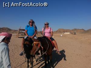 [P31]  -- <small>// FĂRĂ DESCRIERE</small> » foto by Aliona R
 - 
<span class="allrVoted glyphicon glyphicon-heart hidden" id="av1032716"></span>
<a class="m-l-10 hidden" id="sv1032716" onclick="voting_Foto_DelVot(,1032716,3529)" role="button">șterge vot <span class="glyphicon glyphicon-remove"></span></a>
<a id="v91032716" class=" c-red"  onclick="voting_Foto_SetVot(1032716)" role="button"><span class="glyphicon glyphicon-heart-empty"></span> <b>LIKE</b> = Votează poza</a> <img class="hidden"  id="f1032716W9" src="/imagini/loader.gif" border="0" /><span class="AjErrMes hidden" id="e1032716ErM"></span>