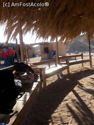 [P32] Magazinul lor...  » foto by Aliona R
 - 
<span class="allrVoted glyphicon glyphicon-heart hidden" id="av1032717"></span>
<a class="m-l-10 hidden" id="sv1032717" onclick="voting_Foto_DelVot(,1032717,3529)" role="button">șterge vot <span class="glyphicon glyphicon-remove"></span></a>
<a id="v91032717" class=" c-red"  onclick="voting_Foto_SetVot(1032717)" role="button"><span class="glyphicon glyphicon-heart-empty"></span> <b>LIKE</b> = Votează poza</a> <img class="hidden"  id="f1032717W9" src="/imagini/loader.gif" border="0" /><span class="AjErrMes hidden" id="e1032717ErM"></span>