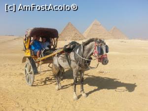 [P05]  -- <small>// FĂRĂ DESCRIERE</small> » foto by Aliona R
 - 
<span class="allrVoted glyphicon glyphicon-heart hidden" id="av1032690"></span>
<a class="m-l-10 hidden" id="sv1032690" onclick="voting_Foto_DelVot(,1032690,3529)" role="button">șterge vot <span class="glyphicon glyphicon-remove"></span></a>
<a id="v91032690" class=" c-red"  onclick="voting_Foto_SetVot(1032690)" role="button"><span class="glyphicon glyphicon-heart-empty"></span> <b>LIKE</b> = Votează poza</a> <img class="hidden"  id="f1032690W9" src="/imagini/loader.gif" border="0" /><span class="AjErrMes hidden" id="e1032690ErM"></span>