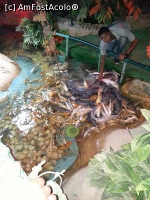 [P07]  -- <small>// FĂRĂ DESCRIERE</small> » foto by Aliona R
 - 
<span class="allrVoted glyphicon glyphicon-heart hidden" id="av1032692"></span>
<a class="m-l-10 hidden" id="sv1032692" onclick="voting_Foto_DelVot(,1032692,3529)" role="button">șterge vot <span class="glyphicon glyphicon-remove"></span></a>
<a id="v91032692" class=" c-red"  onclick="voting_Foto_SetVot(1032692)" role="button"><span class="glyphicon glyphicon-heart-empty"></span> <b>LIKE</b> = Votează poza</a> <img class="hidden"  id="f1032692W9" src="/imagini/loader.gif" border="0" /><span class="AjErrMes hidden" id="e1032692ErM"></span>