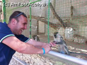 [P08] Maimutica smechera » foto by Aliona R
 - 
<span class="allrVoted glyphicon glyphicon-heart hidden" id="av1032693"></span>
<a class="m-l-10 hidden" id="sv1032693" onclick="voting_Foto_DelVot(,1032693,3529)" role="button">șterge vot <span class="glyphicon glyphicon-remove"></span></a>
<a id="v91032693" class=" c-red"  onclick="voting_Foto_SetVot(1032693)" role="button"><span class="glyphicon glyphicon-heart-empty"></span> <b>LIKE</b> = Votează poza</a> <img class="hidden"  id="f1032693W9" src="/imagini/loader.gif" border="0" /><span class="AjErrMes hidden" id="e1032693ErM"></span>