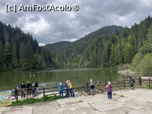 [P13] Lacul Roșu » foto by Yersinia Pestis
 - 
<span class="allrVoted glyphicon glyphicon-heart hidden" id="av1531180"></span>
<a class="m-l-10 hidden" id="sv1531180" onclick="voting_Foto_DelVot(,1531180,3531)" role="button">șterge vot <span class="glyphicon glyphicon-remove"></span></a>
<a id="v91531180" class=" c-red"  onclick="voting_Foto_SetVot(1531180)" role="button"><span class="glyphicon glyphicon-heart-empty"></span> <b>LIKE</b> = Votează poza</a> <img class="hidden"  id="f1531180W9" src="/imagini/loader.gif" border="0" /><span class="AjErrMes hidden" id="e1531180ErM"></span>