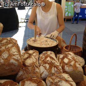 [P21] Nu am rezista si mi-am luat o felie care m-ia tinut de foame toata ziua... untura de jumari » foto by Bascone
 - 
<span class="allrVoted glyphicon glyphicon-heart hidden" id="av830048"></span>
<a class="m-l-10 hidden" id="sv830048" onclick="voting_Foto_DelVot(,830048,3535)" role="button">șterge vot <span class="glyphicon glyphicon-remove"></span></a>
<a id="v9830048" class=" c-red"  onclick="voting_Foto_SetVot(830048)" role="button"><span class="glyphicon glyphicon-heart-empty"></span> <b>LIKE</b> = Votează poza</a> <img class="hidden"  id="f830048W9" src="/imagini/loader.gif" border="0" /><span class="AjErrMes hidden" id="e830048ErM"></span>