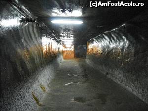 [P19] Salina Turda » foto by sniga
 - 
<span class="allrVoted glyphicon glyphicon-heart hidden" id="av647782"></span>
<a class="m-l-10 hidden" id="sv647782" onclick="voting_Foto_DelVot(,647782,3541)" role="button">șterge vot <span class="glyphicon glyphicon-remove"></span></a>
<a id="v9647782" class=" c-red"  onclick="voting_Foto_SetVot(647782)" role="button"><span class="glyphicon glyphicon-heart-empty"></span> <b>LIKE</b> = Votează poza</a> <img class="hidden"  id="f647782W9" src="/imagini/loader.gif" border="0" /><span class="AjErrMes hidden" id="e647782ErM"></span>