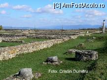 [P11] Sarmisegetuza Ulpia Traiana » foto by cristinadumitru*
 - 
<span class="allrVoted glyphicon glyphicon-heart hidden" id="av21106"></span>
<a class="m-l-10 hidden" id="sv21106" onclick="voting_Foto_DelVot(,21106,3541)" role="button">șterge vot <span class="glyphicon glyphicon-remove"></span></a>
<a id="v921106" class=" c-red"  onclick="voting_Foto_SetVot(21106)" role="button"><span class="glyphicon glyphicon-heart-empty"></span> <b>LIKE</b> = Votează poza</a> <img class="hidden"  id="f21106W9" src="/imagini/loader.gif" border="0" /><span class="AjErrMes hidden" id="e21106ErM"></span>