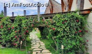 [P28] Aleea care înconjoară castelul » foto by BOGDAN DSN
 - 
<span class="allrVoted glyphicon glyphicon-heart hidden" id="av1191782"></span>
<a class="m-l-10 hidden" id="sv1191782" onclick="voting_Foto_DelVot(,1191782,3541)" role="button">șterge vot <span class="glyphicon glyphicon-remove"></span></a>
<a id="v91191782" class=" c-red"  onclick="voting_Foto_SetVot(1191782)" role="button"><span class="glyphicon glyphicon-heart-empty"></span> <b>LIKE</b> = Votează poza</a> <img class="hidden"  id="f1191782W9" src="/imagini/loader.gif" border="0" /><span class="AjErrMes hidden" id="e1191782ErM"></span>