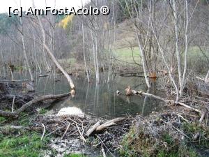 [P01] Lacul mare (cu copaci doborâți) și capătul barajului (în prim plan) făcut de castori pe pârâul Drumul Carelor, puțin aval de Băile Fântâna Sărată, depresiunea Cașin » foto by Lucien
 - 
<span class="allrVoted glyphicon glyphicon-heart hidden" id="av807571"></span>
<a class="m-l-10 hidden" id="sv807571" onclick="voting_Foto_DelVot(,807571,3541)" role="button">șterge vot <span class="glyphicon glyphicon-remove"></span></a>
<a id="v9807571" class=" c-red"  onclick="voting_Foto_SetVot(807571)" role="button"><span class="glyphicon glyphicon-heart-empty"></span> <b>LIKE</b> = Votează poza</a> <img class="hidden"  id="f807571W9" src="/imagini/loader.gif" border="0" /><span class="AjErrMes hidden" id="e807571ErM"></span>