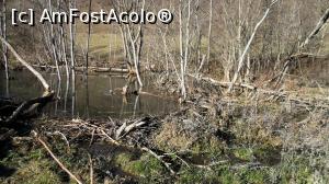 [P30] Detaliu cu același baraj și lac. În imagine, în prim plan, este doar capătul barajului. Pe firul apei, înălțimea barajului este de peste 1 m.  » foto by Lucien
 - 
<span class="allrVoted glyphicon glyphicon-heart hidden" id="av807600"></span>
<a class="m-l-10 hidden" id="sv807600" onclick="voting_Foto_DelVot(,807600,3541)" role="button">șterge vot <span class="glyphicon glyphicon-remove"></span></a>
<a id="v9807600" class=" c-red"  onclick="voting_Foto_SetVot(807600)" role="button"><span class="glyphicon glyphicon-heart-empty"></span> <b>LIKE</b> = Votează poza</a> <img class="hidden"  id="f807600W9" src="/imagini/loader.gif" border="0" /><span class="AjErrMes hidden" id="e807600ErM"></span>