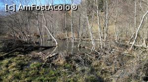 [P04] Capătul de pe malul drept al barajului de la lacul mare de pe Pârâul Drumul carelor (depresiunea Cașin). Dacă chiar pe firul apei barajul are aproape 2 m înălțime, ca să extindă lacul barajul este prelungit pe maluri cât este nevoie » foto by Lucien
 - 
<span class="allrVoted glyphicon glyphicon-heart hidden" id="av807574"></span>
<a class="m-l-10 hidden" id="sv807574" onclick="voting_Foto_DelVot(,807574,3541)" role="button">șterge vot <span class="glyphicon glyphicon-remove"></span></a>
<a id="v9807574" class=" c-red"  onclick="voting_Foto_SetVot(807574)" role="button"><span class="glyphicon glyphicon-heart-empty"></span> <b>LIKE</b> = Votează poza</a> <img class="hidden"  id="f807574W9" src="/imagini/loader.gif" border="0" /><span class="AjErrMes hidden" id="e807574ErM"></span>