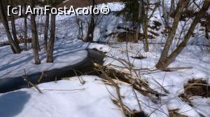 [P09] Lacul mare de pe pârâul Drumul Carelor și barajul făcut de castori, la vreme de iarnă. În prim-plan este digul acoperit de zăpadă, aici având o înălțime de circa 1 m.  » foto by Lucien
 - 
<span class="allrVoted glyphicon glyphicon-heart hidden" id="av807579"></span>
<a class="m-l-10 hidden" id="sv807579" onclick="voting_Foto_DelVot(,807579,3541)" role="button">șterge vot <span class="glyphicon glyphicon-remove"></span></a>
<a id="v9807579" class=" c-red"  onclick="voting_Foto_SetVot(807579)" role="button"><span class="glyphicon glyphicon-heart-empty"></span> <b>LIKE</b> = Votează poza</a> <img class="hidden"  id="f807579W9" src="/imagini/loader.gif" border="0" /><span class="AjErrMes hidden" id="e807579ErM"></span>
