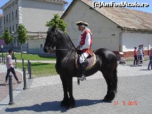 [P21] Primul cavaler din garda de onoare » foto by ANILU
 - 
<span class="allrVoted glyphicon glyphicon-heart hidden" id="av622680"></span>
<a class="m-l-10 hidden" id="sv622680" onclick="voting_Foto_DelVot(,622680,3541)" role="button">șterge vot <span class="glyphicon glyphicon-remove"></span></a>
<a id="v9622680" class=" c-red"  onclick="voting_Foto_SetVot(622680)" role="button"><span class="glyphicon glyphicon-heart-empty"></span> <b>LIKE</b> = Votează poza</a> <img class="hidden"  id="f622680W9" src="/imagini/loader.gif" border="0" /><span class="AjErrMes hidden" id="e622680ErM"></span>