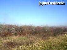 [P22] Pe malul Mureşului în dreptul satului Oarda de Jos este o adevărată pădure. Probabil are rol de protecţie pentru dig. » foto by abbilbal*
 - 
<span class="allrVoted glyphicon glyphicon-heart hidden" id="av161220"></span>
<a class="m-l-10 hidden" id="sv161220" onclick="voting_Foto_DelVot(,161220,3541)" role="button">șterge vot <span class="glyphicon glyphicon-remove"></span></a>
<a id="v9161220" class=" c-red"  onclick="voting_Foto_SetVot(161220)" role="button"><span class="glyphicon glyphicon-heart-empty"></span> <b>LIKE</b> = Votează poza</a> <img class="hidden"  id="f161220W9" src="/imagini/loader.gif" border="0" /><span class="AjErrMes hidden" id="e161220ErM"></span>