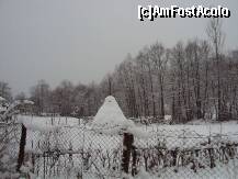 [P02]  -- <small>// FĂRĂ DESCRIERE</small> » foto by steli
 - 
<span class="allrVoted glyphicon glyphicon-heart hidden" id="av181425"></span>
<a class="m-l-10 hidden" id="sv181425" onclick="voting_Foto_DelVot(,181425,3542)" role="button">șterge vot <span class="glyphicon glyphicon-remove"></span></a>
<a id="v9181425" class=" c-red"  onclick="voting_Foto_SetVot(181425)" role="button"><span class="glyphicon glyphicon-heart-empty"></span> <b>LIKE</b> = Votează poza</a> <img class="hidden"  id="f181425W9" src="/imagini/loader.gif" border="0" /><span class="AjErrMes hidden" id="e181425ErM"></span>