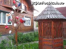 [P37] Fântâna de la poartă și obiceiul cu agățatul oalelor întrun copac, întâlnit și în Bucovina. » foto by bog68
 - 
<span class="allrVoted glyphicon glyphicon-heart hidden" id="av322825"></span>
<a class="m-l-10 hidden" id="sv322825" onclick="voting_Foto_DelVot(,322825,3542)" role="button">șterge vot <span class="glyphicon glyphicon-remove"></span></a>
<a id="v9322825" class=" c-red"  onclick="voting_Foto_SetVot(322825)" role="button"><span class="glyphicon glyphicon-heart-empty"></span> <b>LIKE</b> = Votează poza</a> <img class="hidden"  id="f322825W9" src="/imagini/loader.gif" border="0" /><span class="AjErrMes hidden" id="e322825ErM"></span>