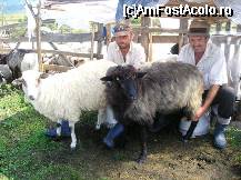 [P6x] FOTOGRAFII OFICIALE INCARCATE DE PROPRIETAR [nota webmaster]: printre toate vizitele care le-am facut prin maramures cel mai mult ne-a placut sus la stana unde am invata sa mulgem oile iar domnii de acolo ne-au rasplatit cu un balmos cald delicios. incercati si voi » foto by monik_
 - 
<span class="allrVoted glyphicon glyphicon-heart hidden" id="av21165"></span>
<a class="m-l-10 hidden" id="sv21165" onclick="voting_Foto_DelVot(,21165,3542)" role="button">șterge vot <span class="glyphicon glyphicon-remove"></span></a>
<a id="v921165" class=" c-red"  onclick="voting_Foto_SetVot(21165)" role="button"><span class="glyphicon glyphicon-heart-empty"></span> <b>LIKE</b> = Votează poza</a> <img class="hidden"  id="f21165W9" src="/imagini/loader.gif" border="0" /><span class="AjErrMes hidden" id="e21165ErM"></span>
