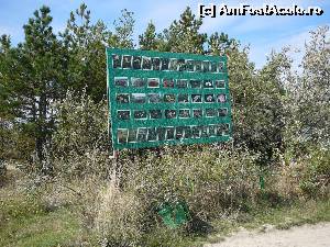 [P21] Unul dintre panourile informative amplasate lângă intrare » foto by Claudiu U.
 - 
<span class="allrVoted glyphicon glyphicon-heart hidden" id="av583370"></span>
<a class="m-l-10 hidden" id="sv583370" onclick="voting_Foto_DelVot(,583370,3566)" role="button">șterge vot <span class="glyphicon glyphicon-remove"></span></a>
<a id="v9583370" class=" c-red"  onclick="voting_Foto_SetVot(583370)" role="button"><span class="glyphicon glyphicon-heart-empty"></span> <b>LIKE</b> = Votează poza</a> <img class="hidden"  id="f583370W9" src="/imagini/loader.gif" border="0" /><span class="AjErrMes hidden" id="e583370ErM"></span>