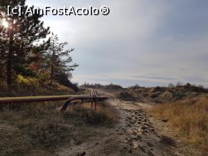 [P08] Am pornit pe lângă aceste țevi și în câteva minute am ajuns pe platoul vulcanic.  » foto by Floryn81
 - 
<span class="allrVoted glyphicon glyphicon-heart hidden" id="av1122996"></span>
<a class="m-l-10 hidden" id="sv1122996" onclick="voting_Foto_DelVot(,1122996,3566)" role="button">șterge vot <span class="glyphicon glyphicon-remove"></span></a>
<a id="v91122996" class=" c-red"  onclick="voting_Foto_SetVot(1122996)" role="button"><span class="glyphicon glyphicon-heart-empty"></span> <b>LIKE</b> = Votează poza</a> <img class="hidden"  id="f1122996W9" src="/imagini/loader.gif" border="0" /><span class="AjErrMes hidden" id="e1122996ErM"></span>