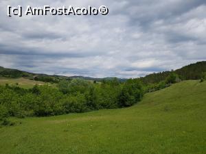 [P04] Frumuseți naturale pe meleaguri buzoiene. » foto by Floryn81
 - 
<span class="allrVoted glyphicon glyphicon-heart hidden" id="av1172169"></span>
<a class="m-l-10 hidden" id="sv1172169" onclick="voting_Foto_DelVot(,1172169,3566)" role="button">șterge vot <span class="glyphicon glyphicon-remove"></span></a>
<a id="v91172169" class=" c-red"  onclick="voting_Foto_SetVot(1172169)" role="button"><span class="glyphicon glyphicon-heart-empty"></span> <b>LIKE</b> = Votează poza</a> <img class="hidden"  id="f1172169W9" src="/imagini/loader.gif" border="0" /><span class="AjErrMes hidden" id="e1172169ErM"></span>