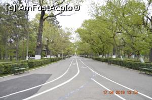 [P13] O alee, micuță, din parc.  » foto by KSV
 - 
<span class="allrVoted glyphicon glyphicon-heart hidden" id="av1072257"></span>
<a class="m-l-10 hidden" id="sv1072257" onclick="voting_Foto_DelVot(,1072257,3566)" role="button">șterge vot <span class="glyphicon glyphicon-remove"></span></a>
<a id="v91072257" class=" c-red"  onclick="voting_Foto_SetVot(1072257)" role="button"><span class="glyphicon glyphicon-heart-empty"></span> <b>LIKE</b> = Votează poza</a> <img class="hidden"  id="f1072257W9" src="/imagini/loader.gif" border="0" /><span class="AjErrMes hidden" id="e1072257ErM"></span>