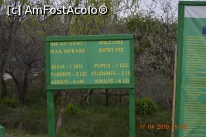 [P14] Tarife, nămoloși, !  » foto by KSV
 - 
<span class="allrVoted glyphicon glyphicon-heart hidden" id="av1072259"></span>
<a class="m-l-10 hidden" id="sv1072259" onclick="voting_Foto_DelVot(,1072259,3566)" role="button">șterge vot <span class="glyphicon glyphicon-remove"></span></a>
<a id="v91072259" class=" c-red"  onclick="voting_Foto_SetVot(1072259)" role="button"><span class="glyphicon glyphicon-heart-empty"></span> <b>LIKE</b> = Votează poza</a> <img class="hidden"  id="f1072259W9" src="/imagini/loader.gif" border="0" /><span class="AjErrMes hidden" id="e1072259ErM"></span>