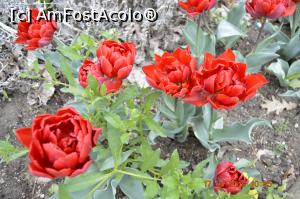 [P03]  -- <small>// FĂRĂ DESCRIERE</small> » foto by KSV
 - 
<span class="allrVoted glyphicon glyphicon-heart hidden" id="av1072240"></span>
<a class="m-l-10 hidden" id="sv1072240" onclick="voting_Foto_DelVot(,1072240,3566)" role="button">șterge vot <span class="glyphicon glyphicon-remove"></span></a>
<a id="v91072240" class=" c-red"  onclick="voting_Foto_SetVot(1072240)" role="button"><span class="glyphicon glyphicon-heart-empty"></span> <b>LIKE</b> = Votează poza</a> <img class="hidden"  id="f1072240W9" src="/imagini/loader.gif" border="0" /><span class="AjErrMes hidden" id="e1072240ErM"></span>