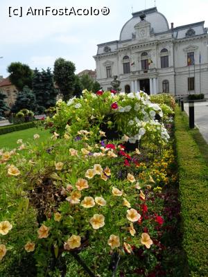 [P10] Piața Revoluției și Primăria - Târgoviște.  » foto by tata123 🔱
 - 
<span class="allrVoted glyphicon glyphicon-heart hidden" id="av974557"></span>
<a class="m-l-10 hidden" id="sv974557" onclick="voting_Foto_DelVot(,974557,3568)" role="button">șterge vot <span class="glyphicon glyphicon-remove"></span></a>
<a id="v9974557" class=" c-red"  onclick="voting_Foto_SetVot(974557)" role="button"><span class="glyphicon glyphicon-heart-empty"></span> <b>LIKE</b> = Votează poza</a> <img class="hidden"  id="f974557W9" src="/imagini/loader.gif" border="0" /><span class="AjErrMes hidden" id="e974557ErM"></span>