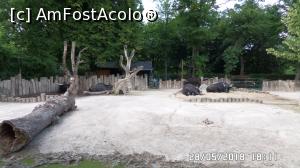 [P28] Grădina Zoo de la Schonbrunn » foto by ungureanica
 - 
<span class="allrVoted glyphicon glyphicon-heart hidden" id="av977824"></span>
<a class="m-l-10 hidden" id="sv977824" onclick="voting_Foto_DelVot(,977824,3569)" role="button">șterge vot <span class="glyphicon glyphicon-remove"></span></a>
<a id="v9977824" class=" c-red"  onclick="voting_Foto_SetVot(977824)" role="button"><span class="glyphicon glyphicon-heart-empty"></span> <b>LIKE</b> = Votează poza</a> <img class="hidden"  id="f977824W9" src="/imagini/loader.gif" border="0" /><span class="AjErrMes hidden" id="e977824ErM"></span>