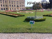 [P01] In superbele gradini ale Schonbrunn-ului » foto by Alina Morar
 - 
<span class="allrVoted glyphicon glyphicon-heart hidden" id="av151475"></span>
<a class="m-l-10 hidden" id="sv151475" onclick="voting_Foto_DelVot(,151475,3569)" role="button">șterge vot <span class="glyphicon glyphicon-remove"></span></a>
<a id="v9151475" class=" c-red"  onclick="voting_Foto_SetVot(151475)" role="button"><span class="glyphicon glyphicon-heart-empty"></span> <b>LIKE</b> = Votează poza</a> <img class="hidden"  id="f151475W9" src="/imagini/loader.gif" border="0" /><span class="AjErrMes hidden" id="e151475ErM"></span>