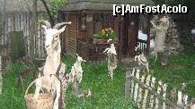 [P16] scena din Capra cu trei iezi » foto by cristi82d
 - 
<span class="allrVoted glyphicon glyphicon-heart hidden" id="av143289"></span>
<a class="m-l-10 hidden" id="sv143289" onclick="voting_Foto_DelVot(,143289,3571)" role="button">șterge vot <span class="glyphicon glyphicon-remove"></span></a>
<a id="v9143289" class=" c-red"  onclick="voting_Foto_SetVot(143289)" role="button"><span class="glyphicon glyphicon-heart-empty"></span> <b>LIKE</b> = Votează poza</a> <img class="hidden"  id="f143289W9" src="/imagini/loader.gif" border="0" /><span class="AjErrMes hidden" id="e143289ErM"></span>